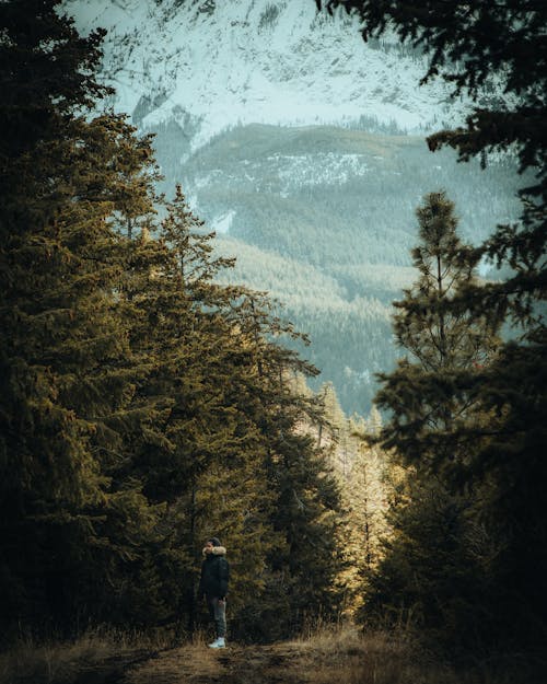 Man on a Dirt Road Through the Forest on a Mountainside