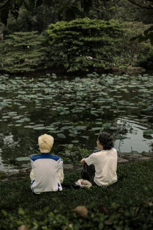 Základová fotografie zdarma na téma lekníny, muži, park