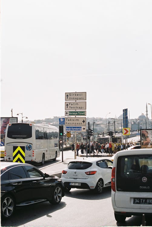 Imagine de stoc gratuită din autoturisme, curcan, drum