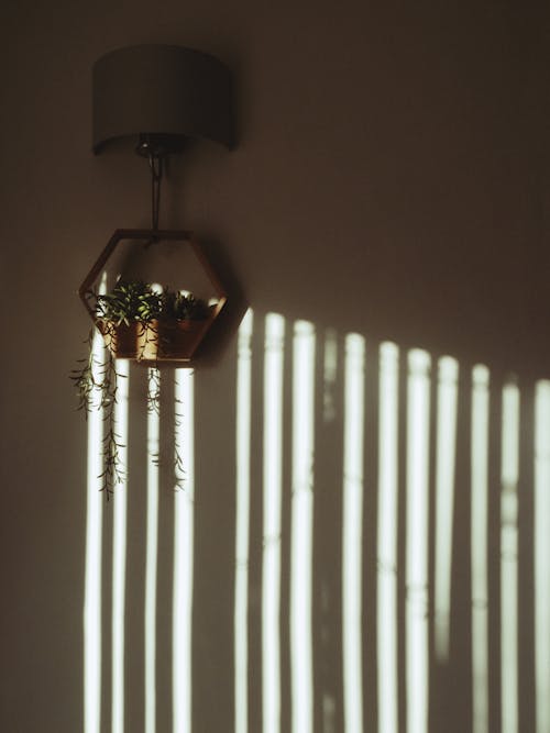 램프, 벽, 수직 쐈어의 무료 스톡 사진