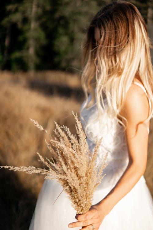 Foto profissional grátis de cabelo comprido, de pé, elegância