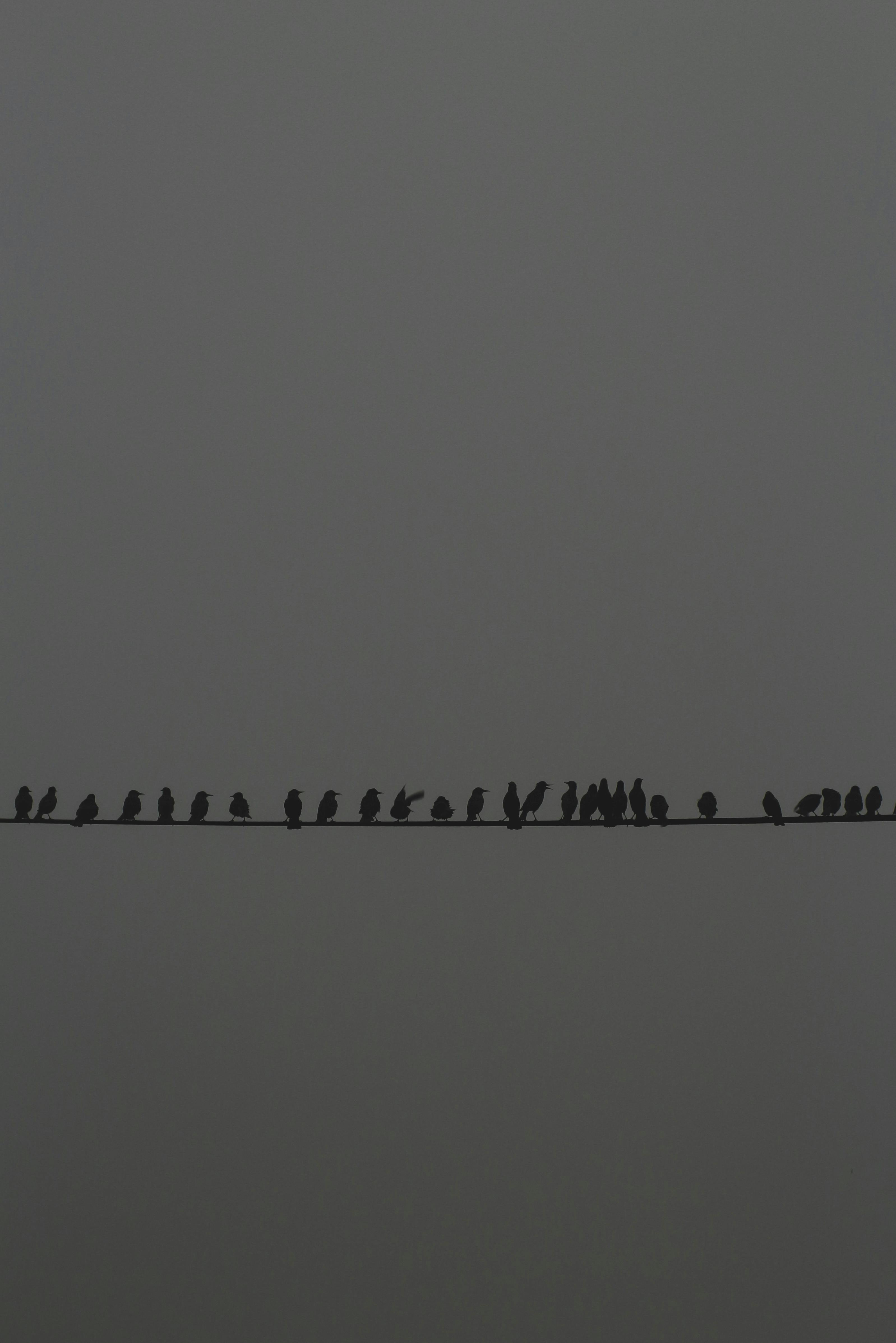 De franc Foto d'estoc gratuïta de @outdoor, a l'aire lliure, abstracte Foto d'estoc