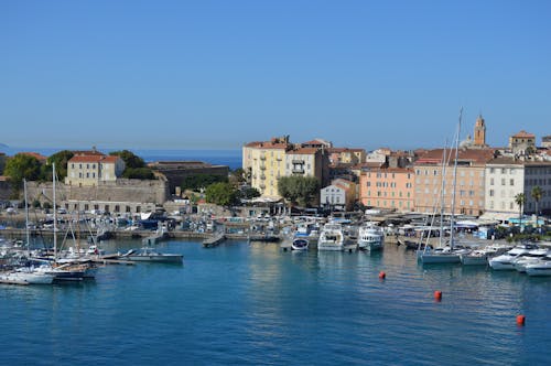 Boats in Harbor, Buildings in Background