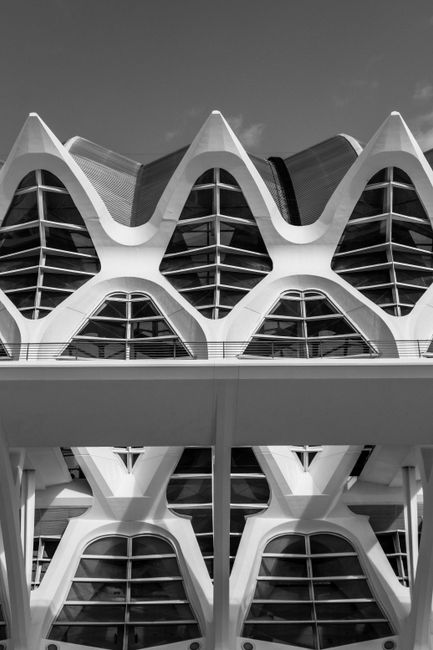 Black and white photo showcasing a modern architectural structure in Valencia's City of Arts and Sciences.