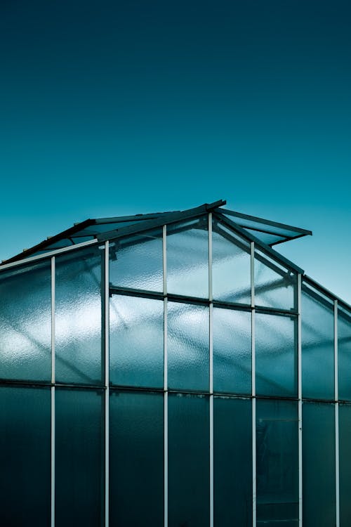 Exterior of a Glass Greenhouse 
