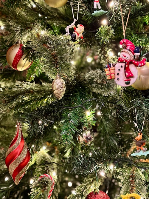 Fotos de stock gratuitas de ambiente navideño, árbol de Navidad, bolas de navidad