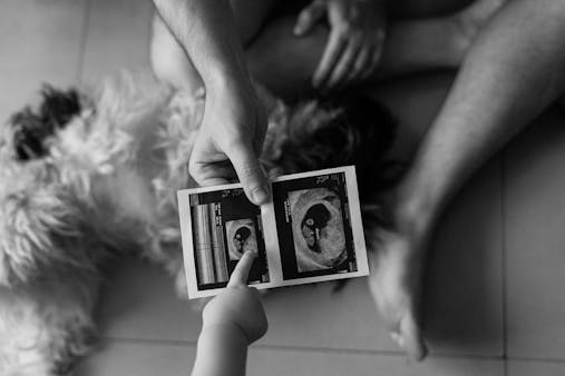 A child's hand pointing to an ultrasound image held by an adult, with a dog beside them.