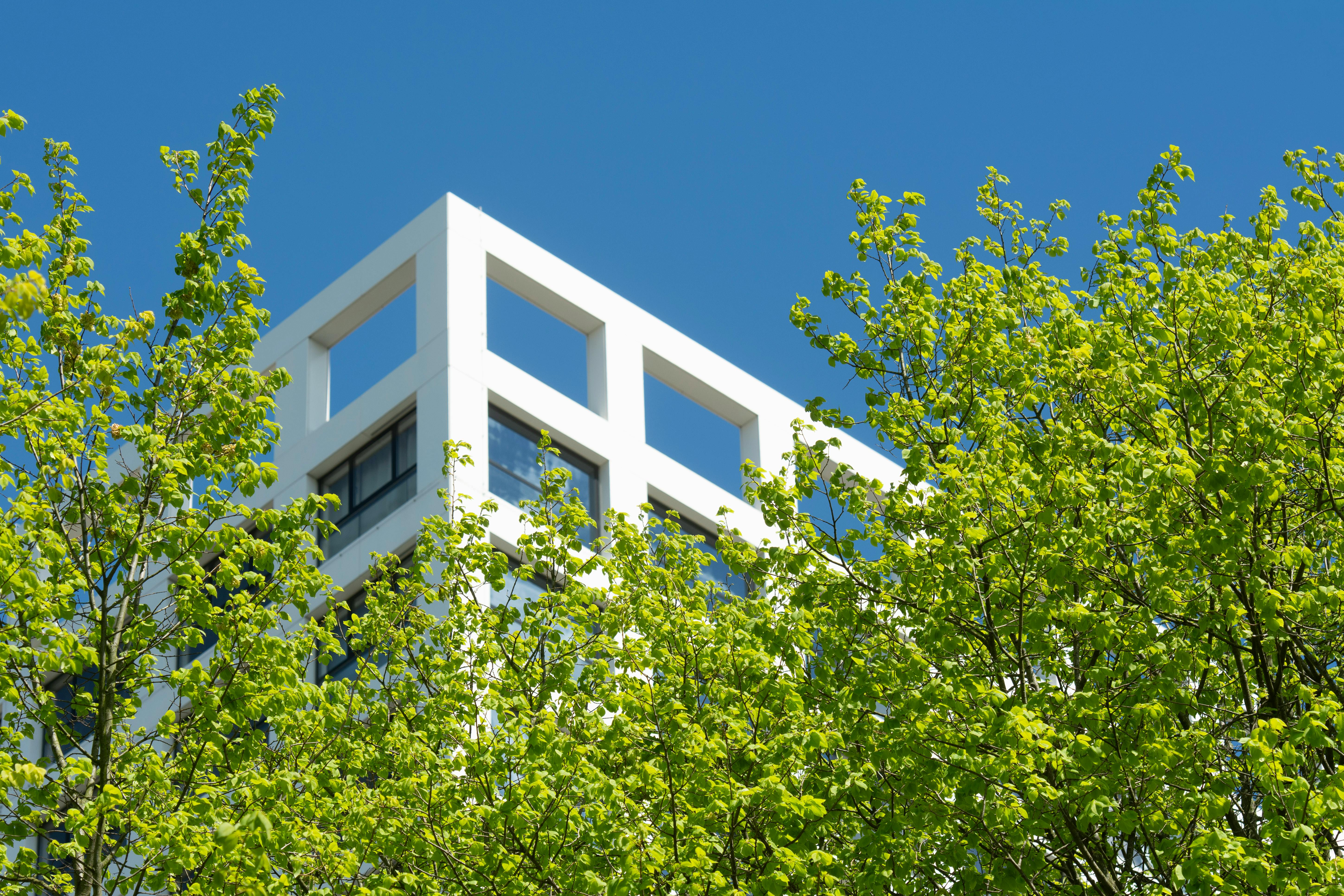 在急需用钱治病的情况下，能否出售与他人共有的房产