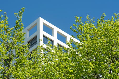 Immagine gratuita di alberi, architettura moderna, cielo azzurro