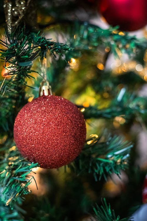 垂直拍攝, 紅色, 聖誕樹 的 免費圖庫相片