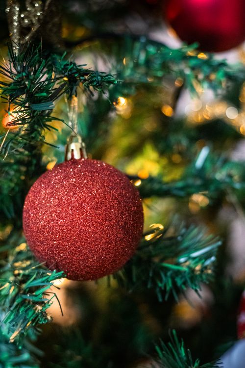 Free Festive red ornament hanging on a Christmas tree, with warm background lights. Stock Photo