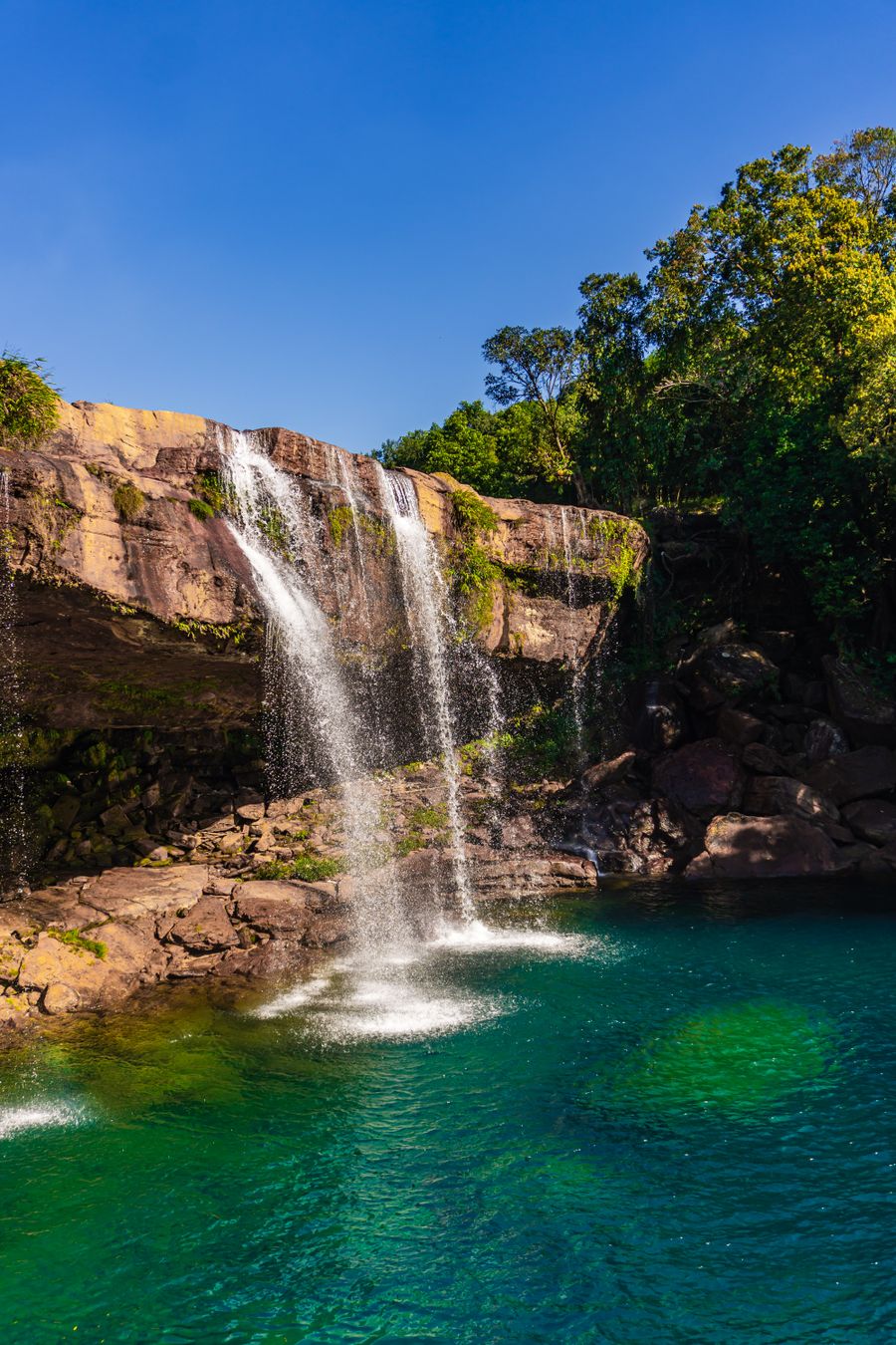 Meghalaya greens