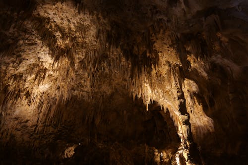 Stalactites in a Cave 