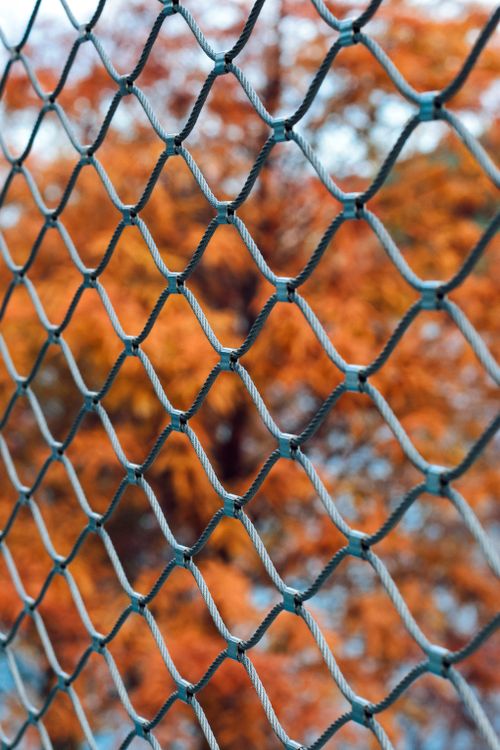 Free Close-up of wire fence with vibrant autumn leaves in the background, creating a textured abstract look. Stock Photo