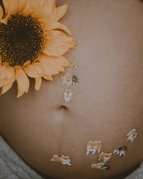 Foto stok gratis bentuk, bunga matahari, kaum wanita