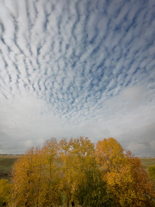 Clouds in Sky over Trees in Autumn