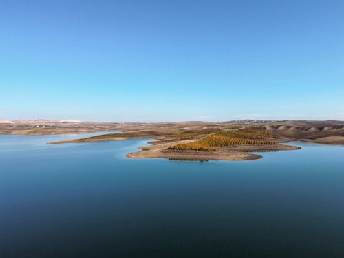 Clear Sky over Seashore