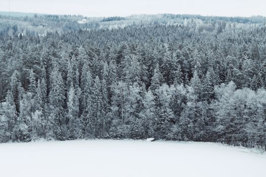 Image by Efrem  Efre