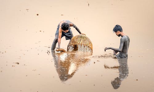 Boys Pulling Fish Out of a Bamboo Cage