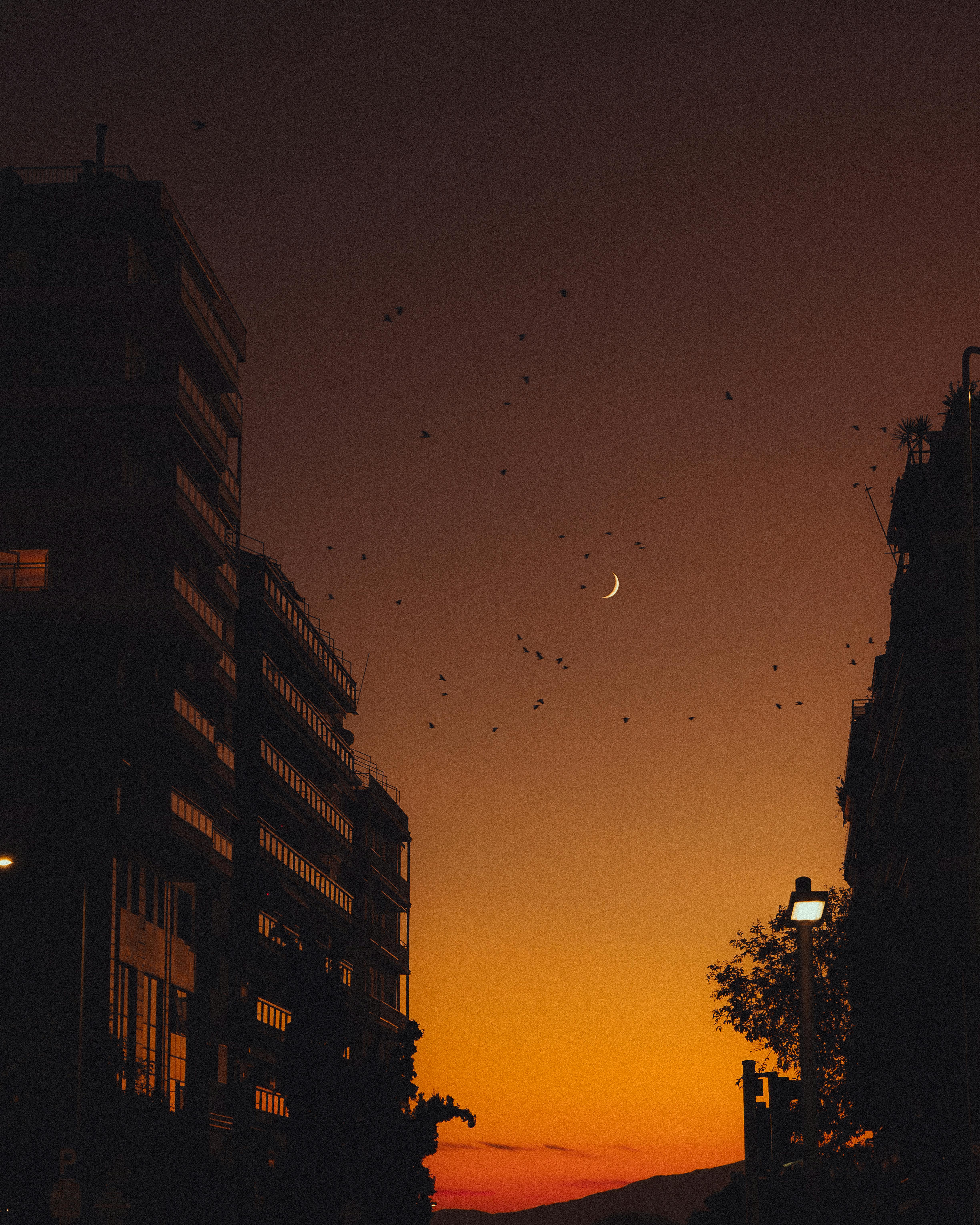 A cityscape at dusk featuring a crescent moon and silhouetted buildings.