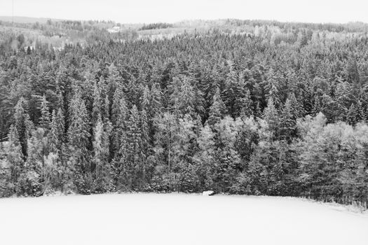 Tranquil snow-covered forest landscape in Jonkoping, Sweden during winter.