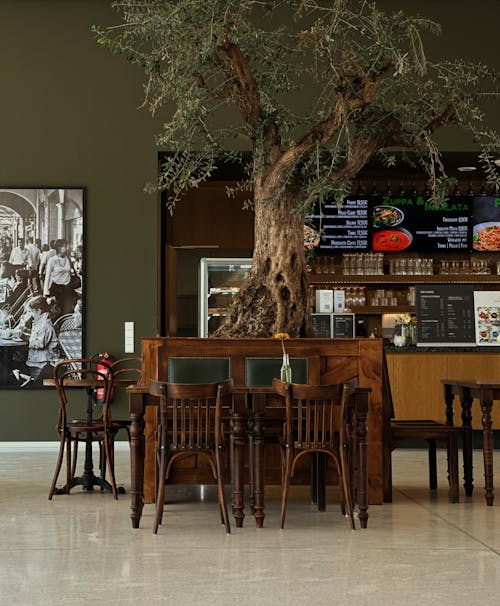 Foto profissional grátis de árvore, cadeiras, interior