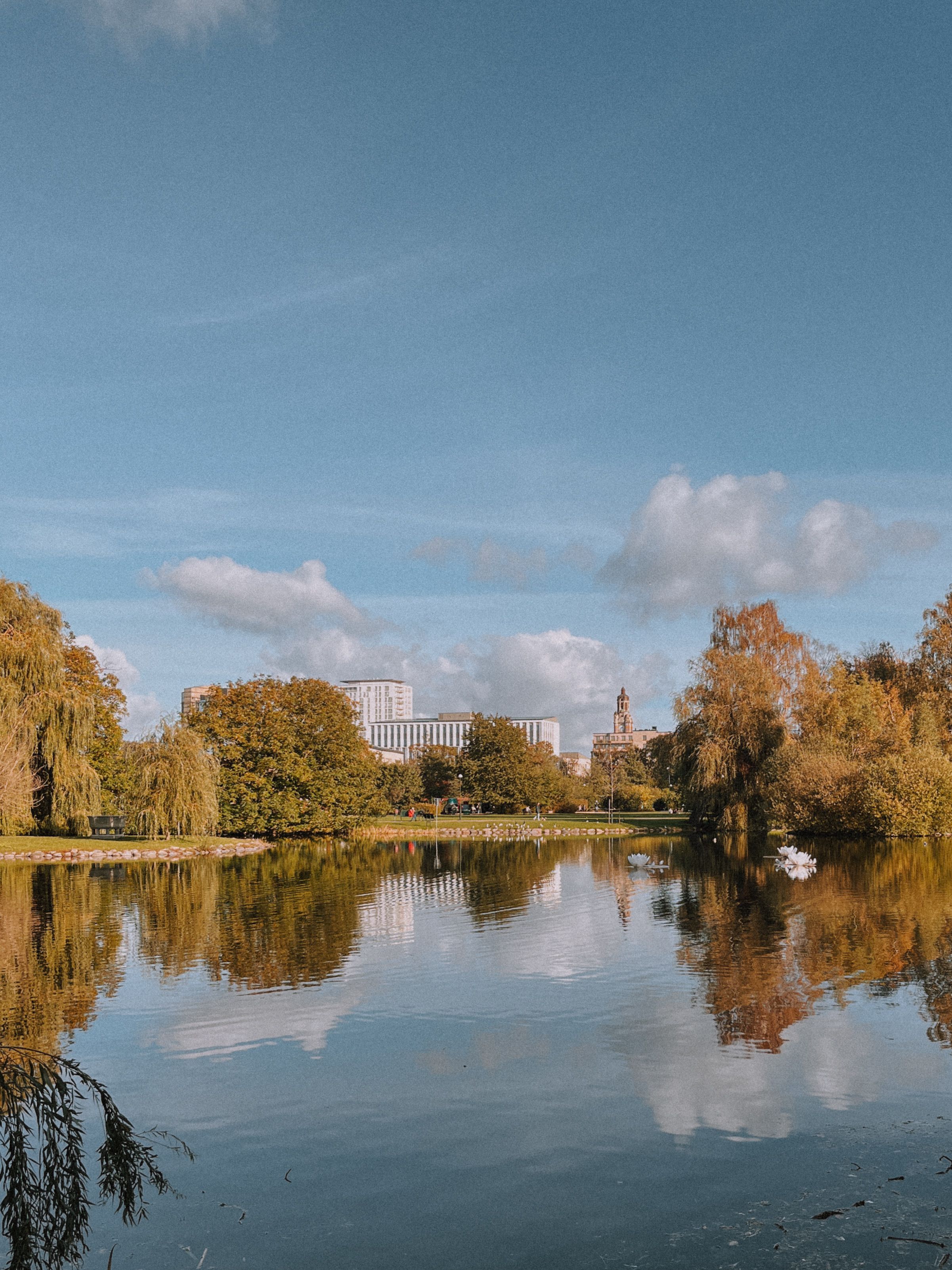 Lake in Park in Town · Free Stock Photo