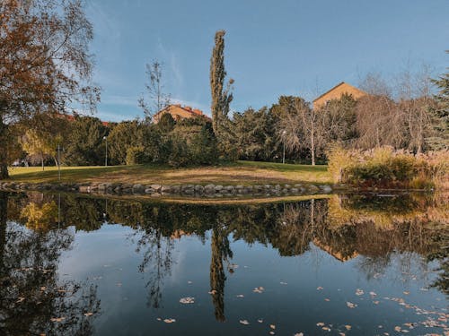 Kostenloses Stock Foto zu außerorts, bäume, natur