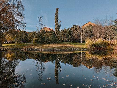 Free A serene park scene featuring a pond reflecting trees and buildings on a clear day. Stock Photo