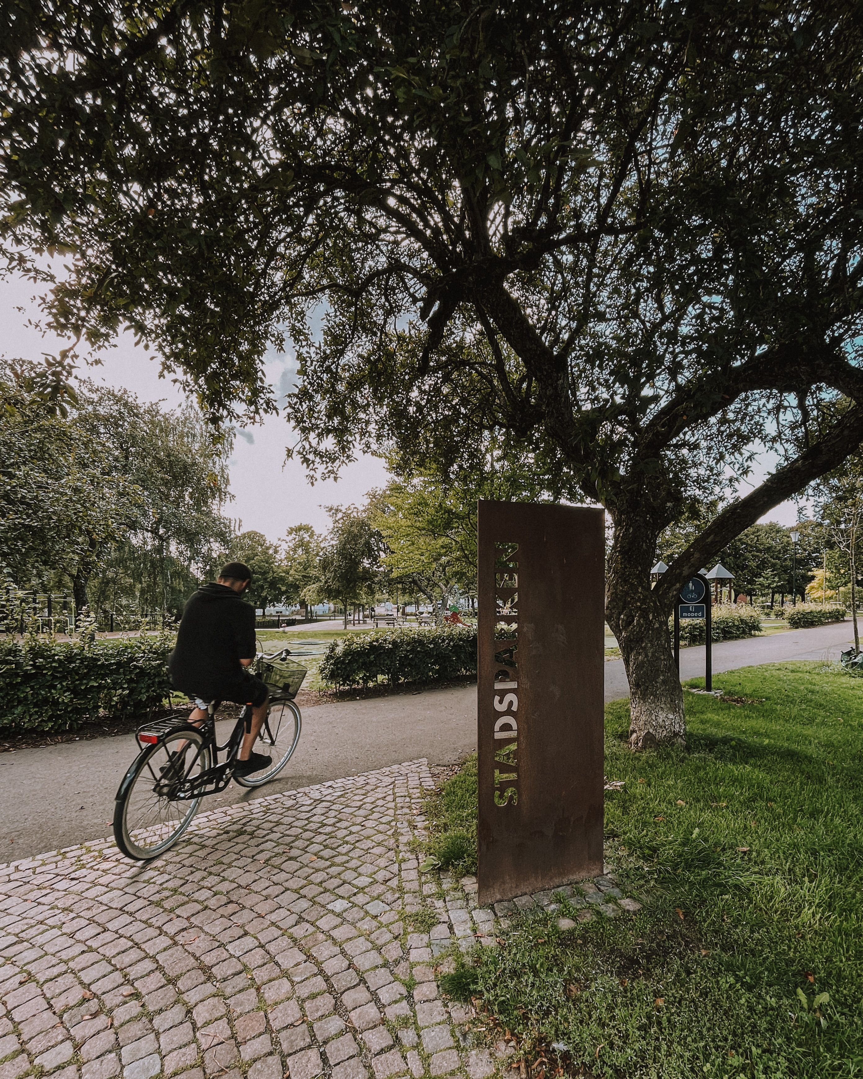 A cyclist leisurely rides on a park path surrounded by lush greenery, showcasing summer vibes.