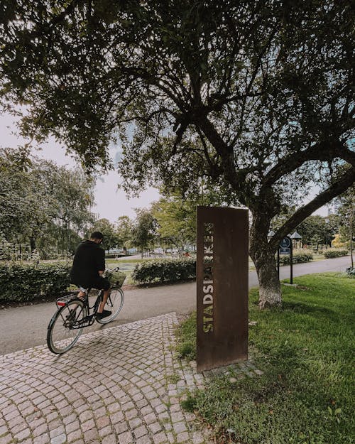 Kostenloses Stock Foto zu bäume, bürgersteig, fahrrad