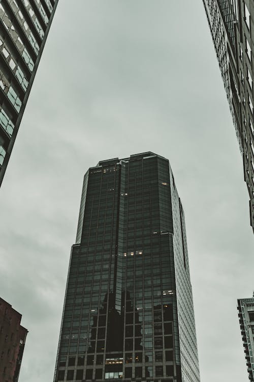 Skyscraper in City