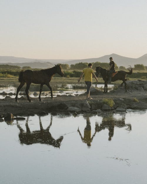 Men with Horses Reflecting in Lake 