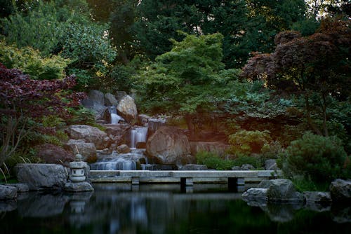 京都花园, 倫敦, 公園 的 免费素材图片