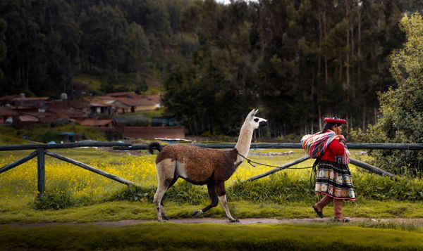 Authentic Andean textiles and traditional Peruvian woven details