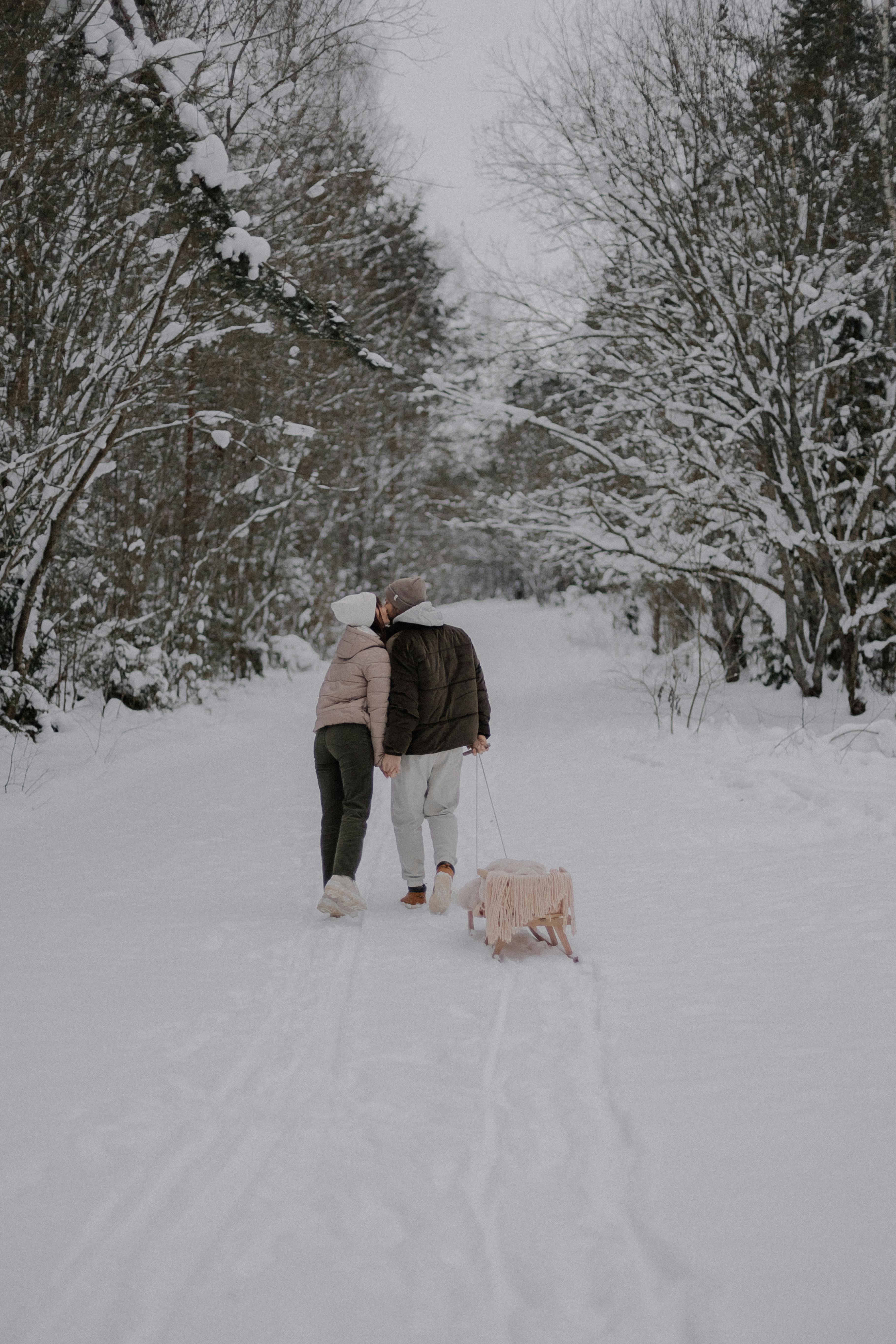A couple walking their dog along a snow-covered path in a tranquil winter forest setting.