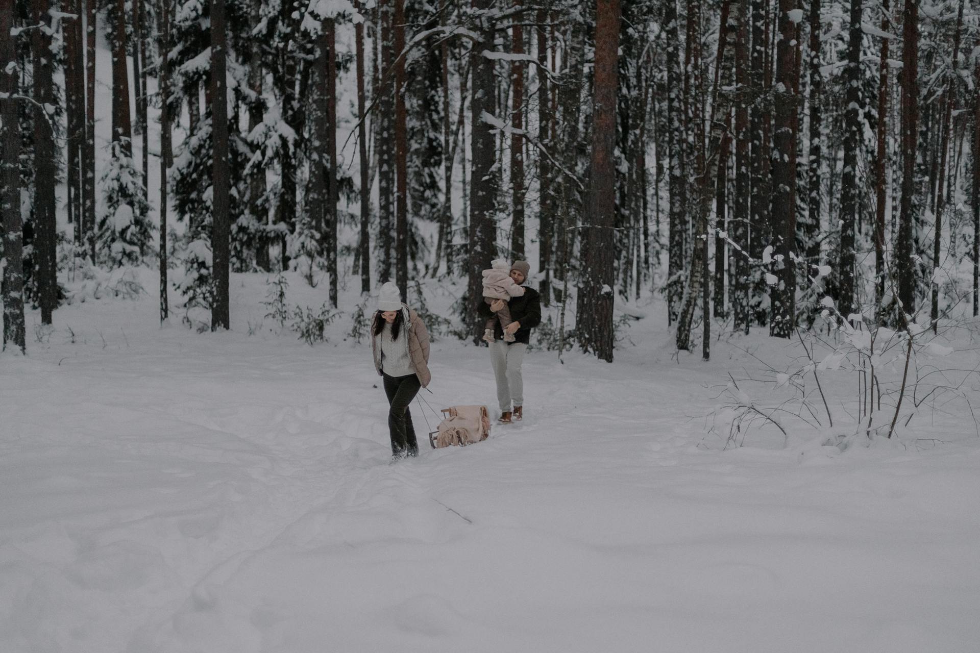 Couple Walking with a Dog in a Forest in Winter