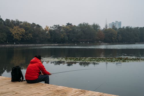 Fotos de stock gratuitas de a orillas del lago, chaqueta roja, de espaldas