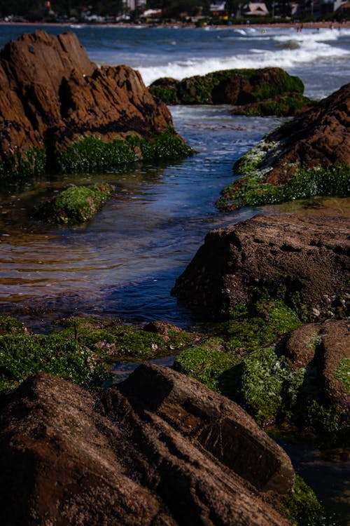 강, 개울, 바위의 무료 스톡 사진