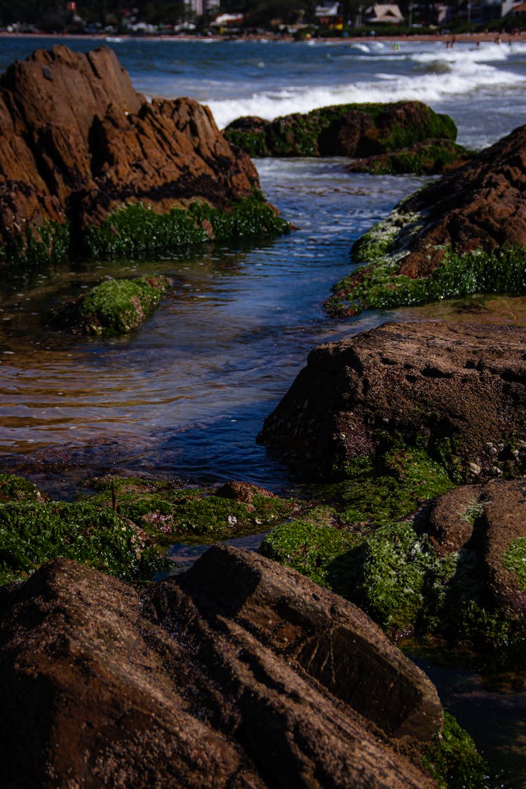 Stream Between Rocks