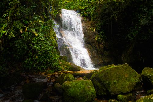 Free A breathtaking waterfall cascading through lush green jungle, surrounded by mossy rocks. Stock Photo