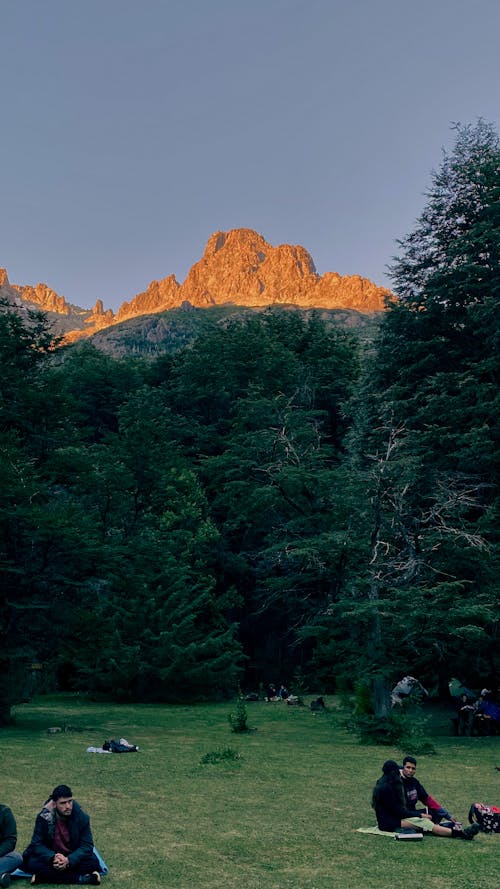 Gratis stockfoto met Argentinië, berg, bomen
