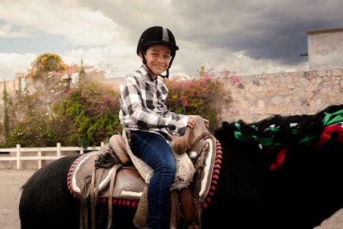at, erkek çocuk, eyer içeren Ücretsiz stok fotoğraf