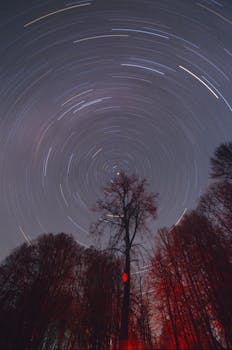 Majestic view of star trails over trees at night.