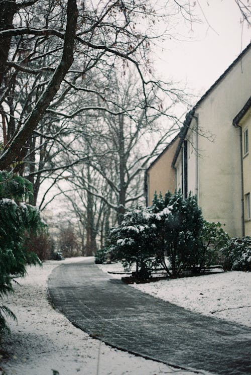 Sidewalk in Winter