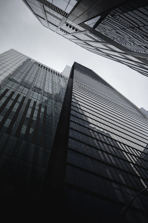 Low Angle Shot of Skyscrapers in a City