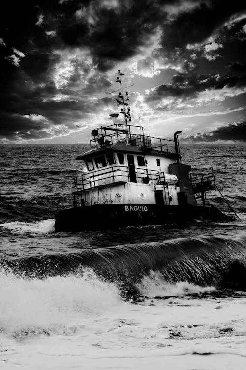 Základová fotografie zdarma na téma černobílý, mávání, moře