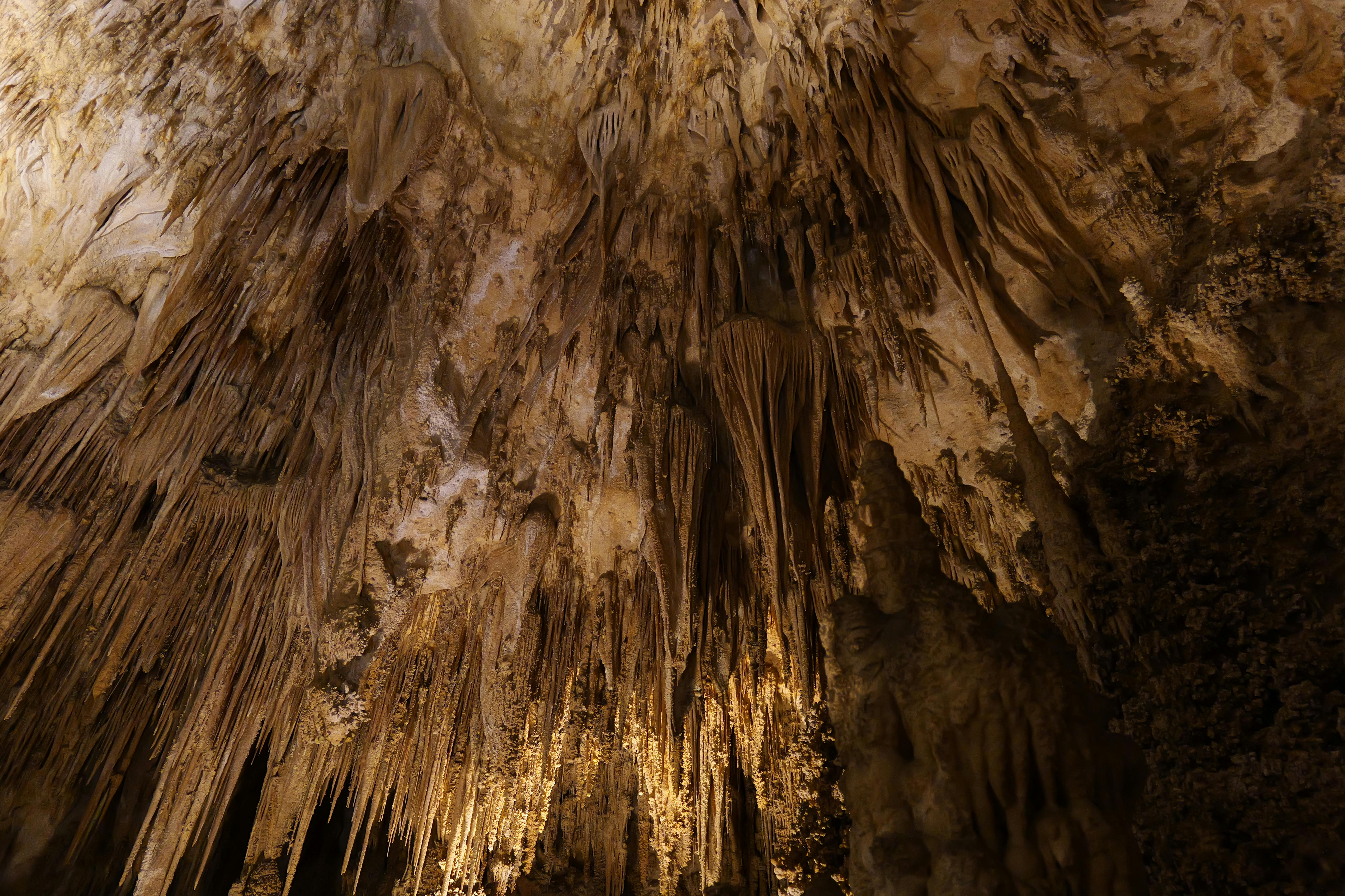 Photo of Carlsbad Caverns National Park