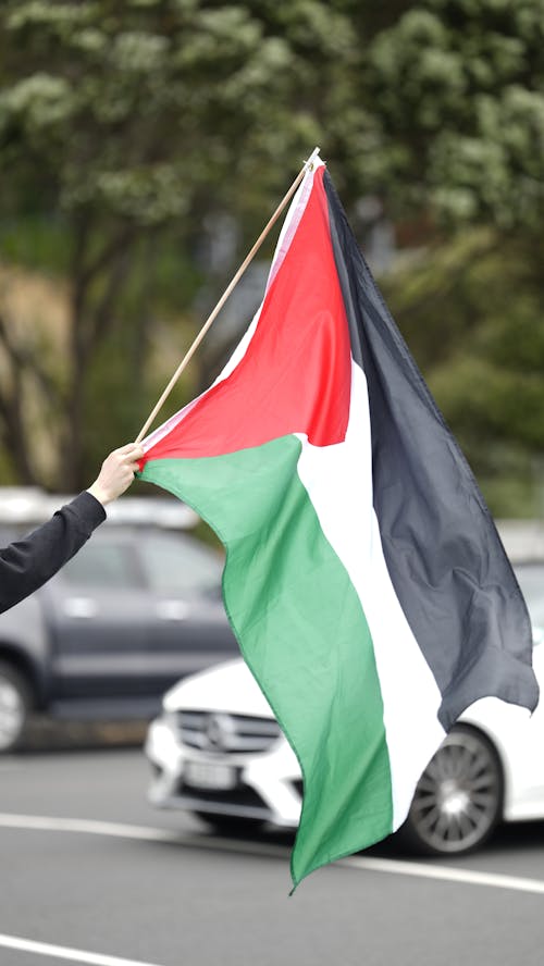 Foto d'estoc gratuïta de bandera, bandera palestina, manifestació