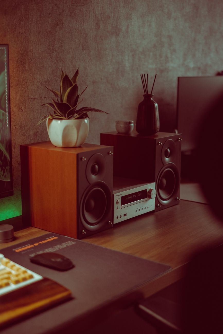 Cozy workspace with wooden speakers, potted plant, and elegant decor for a modern aesthetic.